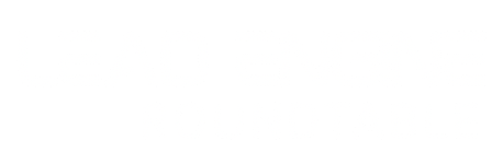Lead Engine Roundtable Logo